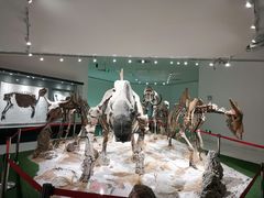 -南通洲际绿博园