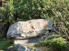 -梧桐山风景名胜区