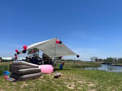 -春花秋色城市公园