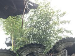 -灶头屋里