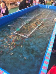 -萌宠亲子动物乐园(槐房万达店)