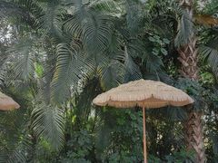 -中家鑫园温泉酒店鑫悦汤泉