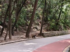 -黔灵山公园