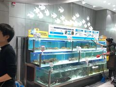 水产区-盒马鲜生(财富中心店)
