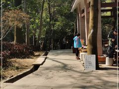 -火炉山森林公园