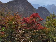 -大连天门山国家森林公园
