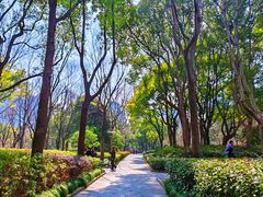 -徐家汇源景区-衡山公园