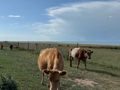 -青海湖国家重点风景名胜区