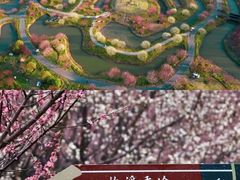 -莘庄公园