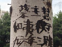 -北方兵器城