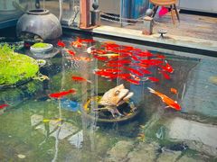 院内风景-野蔓果·山野菜(西湖景区·龙井茶田店)