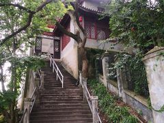 -溪口-滕头旅游景区