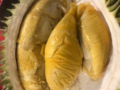 -都念榴莲·城市榴莲