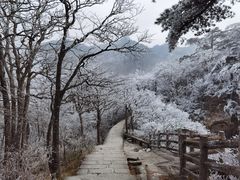 -黄山风景区