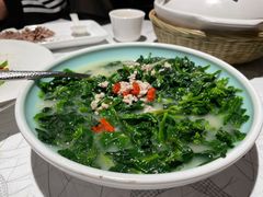 鸽汤浸万年青-大鸽饭(体育西路店)