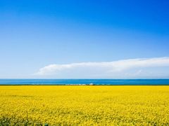 -青海湖国家重点风景名胜区