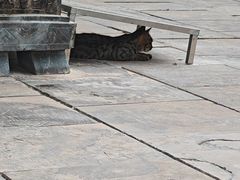 -四门塔风景区