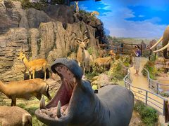 -陕西自然博物馆