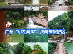 -广州白江湖森林公园