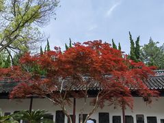 -苏州碑刻博物馆