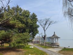 -同里湖度假村(二期店)