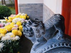 -迎泽公园