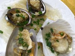 -澳门环岛游湾仔码头