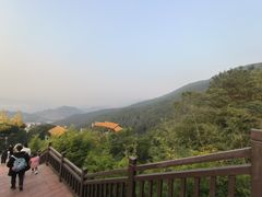 -铁山坪森林公园