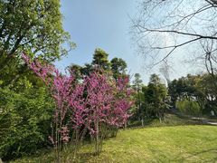 -铜锣山矿山公园
