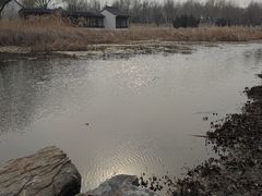 -水西公园
