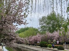 -元大都城垣遗址公园