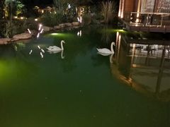 -杭州开元森泊度假乐园