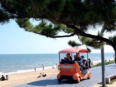 -巧克力渔家.小船海鲜胶东菜(万平口店)