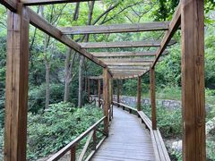 -大岭沟猕猴桃谷风景区