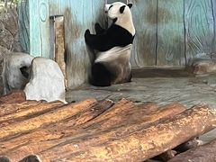 -海南热带野生动植物园