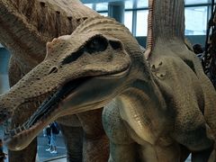 -Behring World of Animals(上海自然博物馆店)