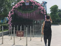 -南京银杏湖乐园