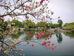 -无锡蠡湖国家湿地公园-蠡园