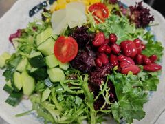 花园沙拉-莫多多餐厅