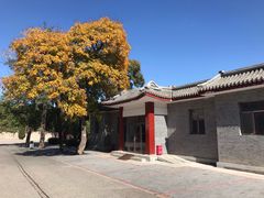 -北京鹫峰国家森林公园