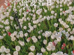 -捞渔河湿地公园