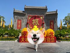 -大槐树寻根祭祖园