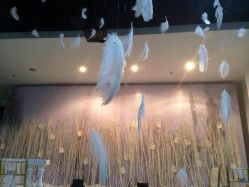 android_upload_pic-Sunny喜铺婚礼策划(东部店)