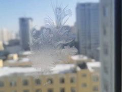 -黑龙江中医药大学