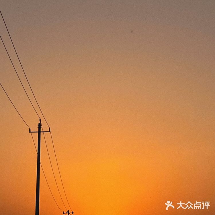 西安周末踏青丨来看油菜花🌸吃火锅🔥啦