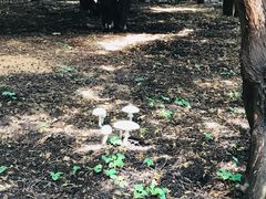 -龙口南山旅游景区