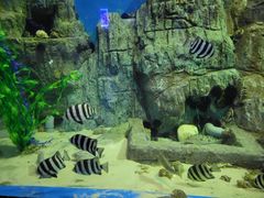-大连老虎滩海洋公园
