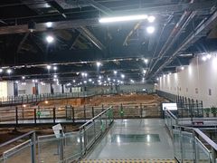 -南越王博物院(王宫展区)