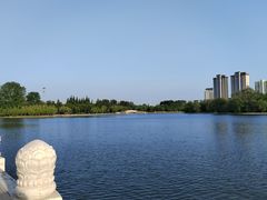 -莱西月湖公园