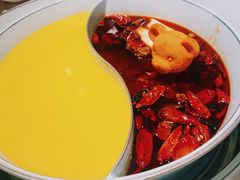 -青瓷火锅料理(西单大悦城店)